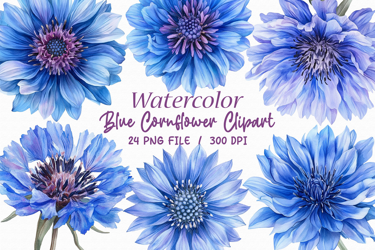 Blue Watercolor Cornflower Clipart, an Illustration by Libby Wishes (Photo 1 of 5)