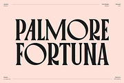 PALMORE - Vintage Rounded Serif, a Serif Font by CCS Type (Thumbnail 2 of 24)