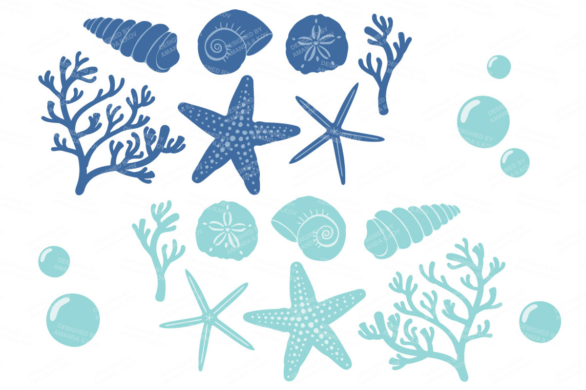 Seashells Clipart in Oceana, an Illustration by Amanda Ilkov (Photo 5 of 5)