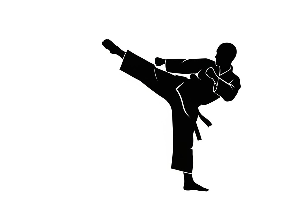 Dynamic martial arts kick silhouette, an Illustration by Amazin_art (Photo 11 of 36)