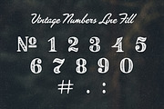Vintage Number Pack, a Symbol Font by Woodcrest Design Co. (Thumbnail 3 of 5)