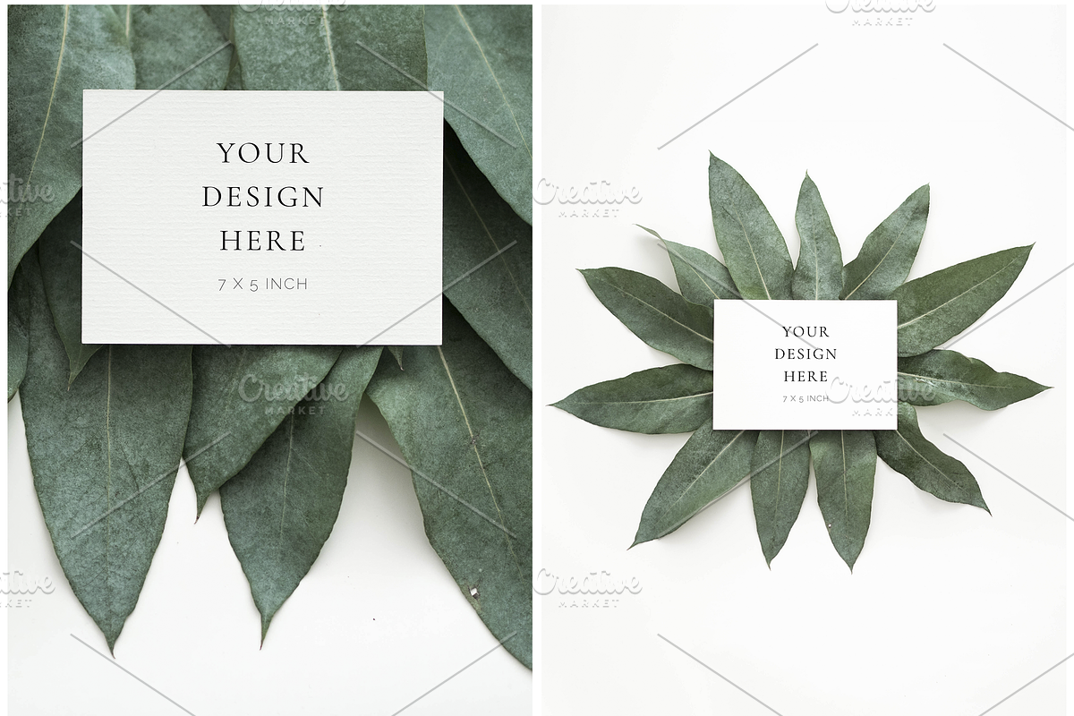 The Eucalyptus Leaves Bundle, a Print Template by Imperium Nordique (Photo 4 of 5)