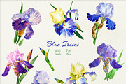 Blue Irises. Watercolor Clip Art, a Decorative Illustration by Nataliapiache (Thumbnail 2 of 2)