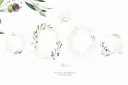 Olives. Watercolor Collection, a Decorative Illustration by OctopusArtis (Thumbnail 3 of 17)