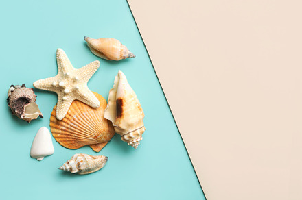 Summer holiday concept, a Holiday Photo by esthermm