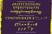 Reginy - Textured Brush Font, a Script Font by StringLabs (Thumbnail 7 of 8)