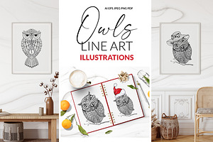 Owls Line Art Illustrations, an Animal Illustration by ilonitta