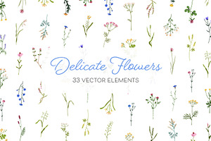 Field and meadow wild flowers set, a Decorative Illustration by Good Studio