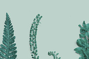 Azure Pressed Botanical PNG Pack, an Object Graphic by Custom Scene (Thumbnail 4 of 8)