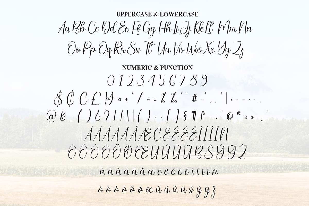 Endfield | Script Font, a Handwritten Font by Scratchones (Photo 7 of 9)
