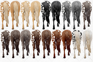 Watercolor Horse Clipart Horses Png