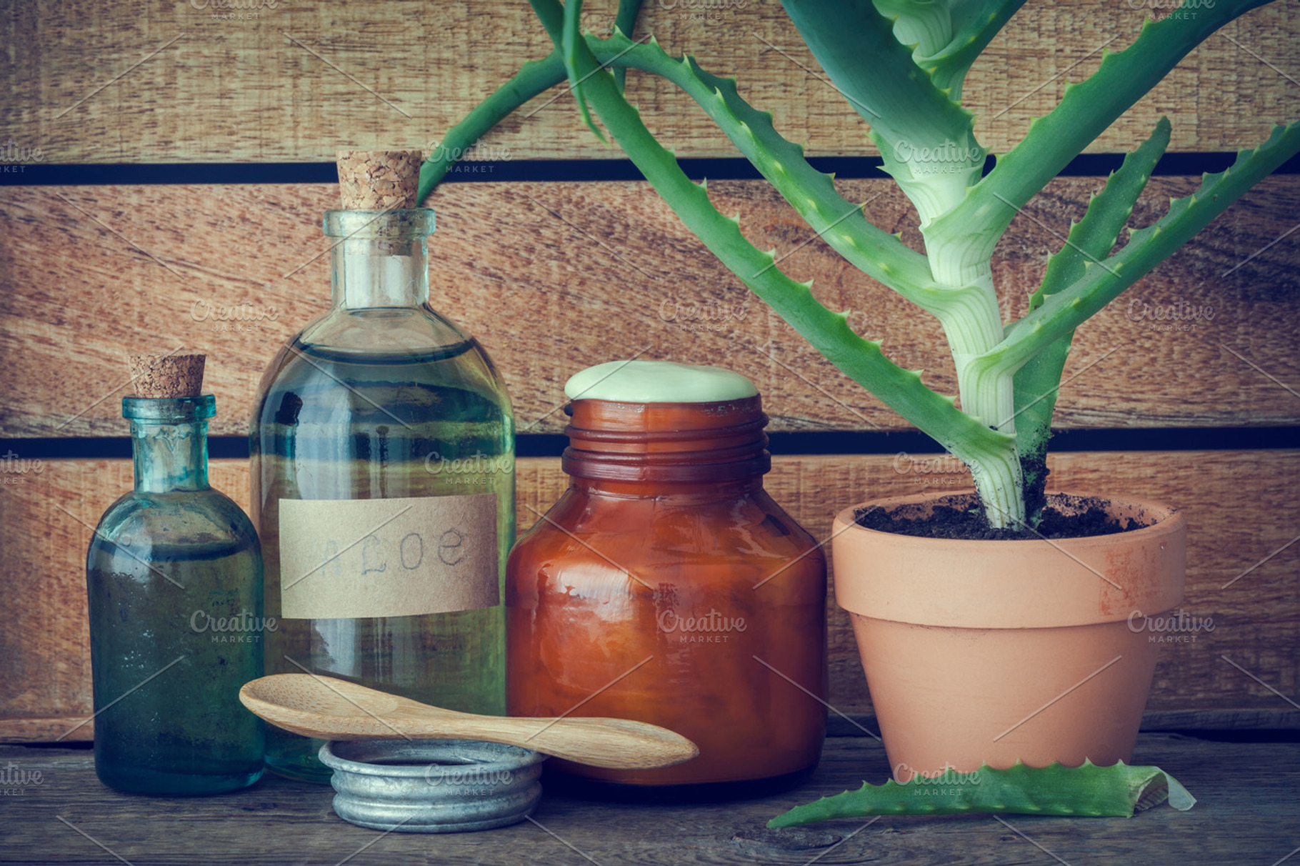 Aloe plant, essence and cream, a Health & Medical Photo by chamillewhite