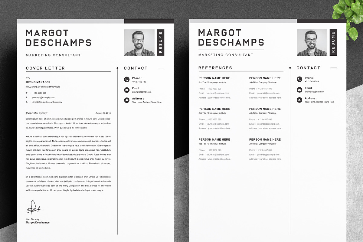 2 Pages Best Curriculum Vitae / CV