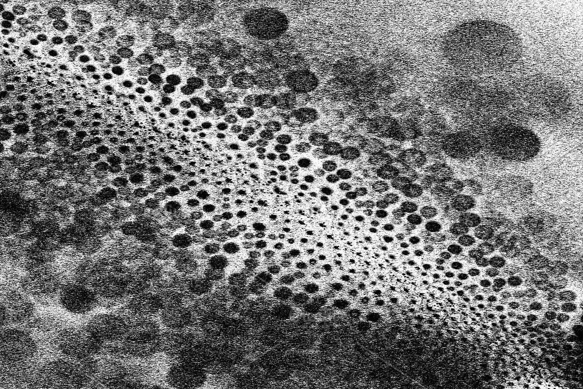 Black Static, a Texture Graphic by Jennifer Lauren Creative (Photo 18 of 20)