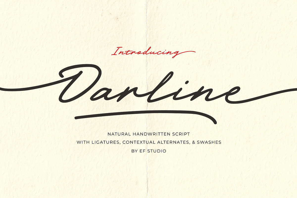 Darline Handwritten Font, a Script Font by Ef Studio (Photo 1 of 15)
