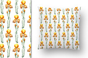 Watercolor gladioli set, an Illustration by Floralis (Thumbnail 2 of 4)