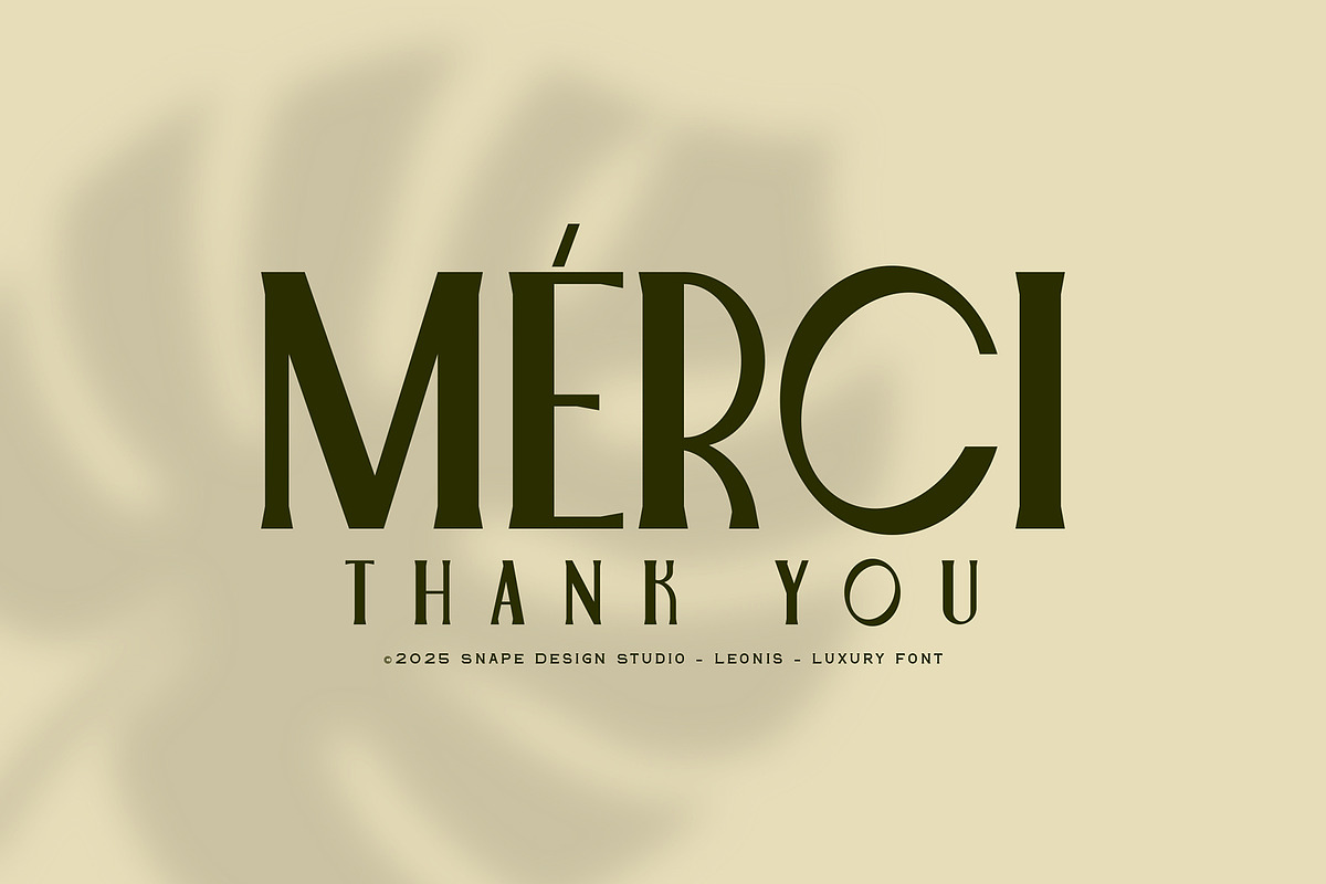 Leonis - Luxury Font, a Serif Font by Snape Design Studio (Photo 12 of 12)
