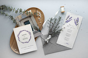 Provence Lavender. Flower set., a Pattern Graphic by Kotkoa (Thumbnail 5 of 8)