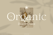 Grotek - Luxury Modern Serif, a Serif Font by Gilar Studio (Thumbnail 7 of 15)