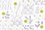 Herbs & Spices Big Bundle, a Food Illustration by Zhemchuzhina (Thumbnail 8 of 9)