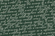 Giustina Kelani Stylish Calligraphy, a Serif Font by stylishtype.co (Thumbnail 11 of 20)