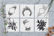 100 Hand Drawn Elements -Floral-, a Decorative Illustration by Michael Rayback Design (Thumbnail 7 of 18)