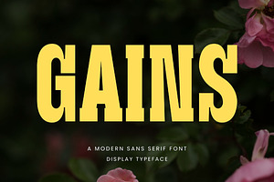 Gains Slab Serif Font, a Slab Serif Font by Graphicxell