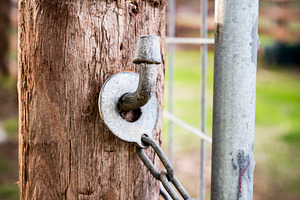 Farm Gate Lock, an Industrial Photo by THP Creative