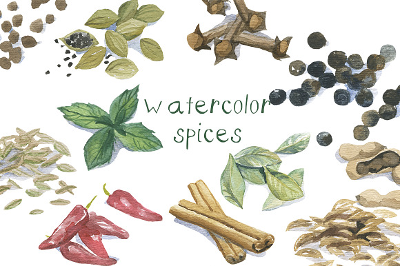 Watercolor Spices Clip Art