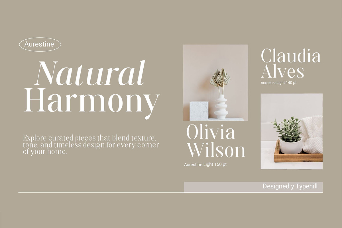 Aurestine Serif, a Serif Font by Typehill (Photo 3 of 14)
