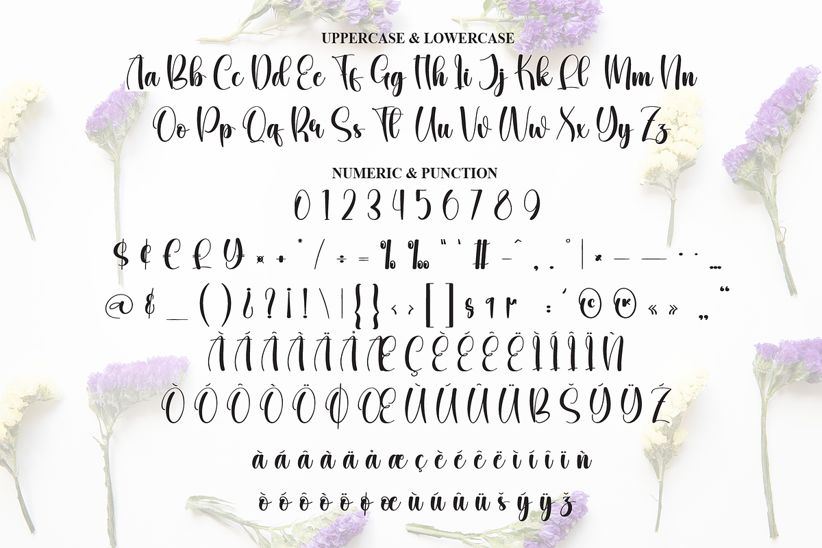 Variety | Script Font, a Handwritten Font by Scratchones (Photo 7 of 9)