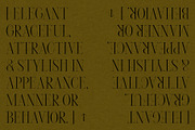 Mikosch – Tasteful & Chic Serif, a Serif Font by Local Desk Designstudio (Thumbnail 8 of 16)