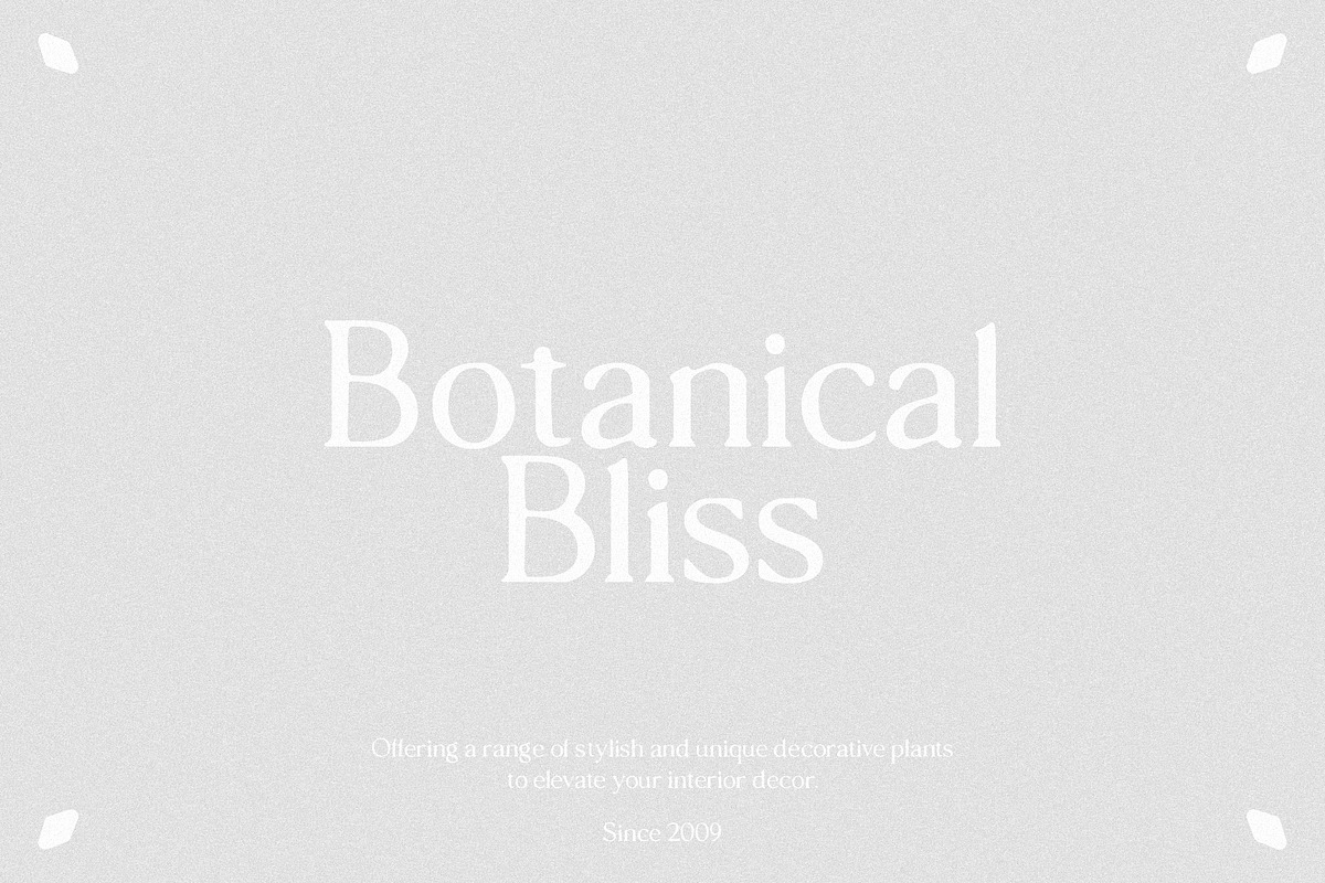 hawk sight - vintage serif, a Serif Font by Mikhail Fukurou (Photo 6 of 8)