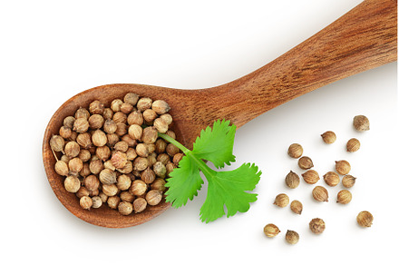 Dried coriander seeds in the wooden, a Food & Drink Photo by NataPhoto