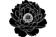 Peony Flower Silhouette, an Object Graphic by Designer_Momina (Thumbnail 17 of 18)