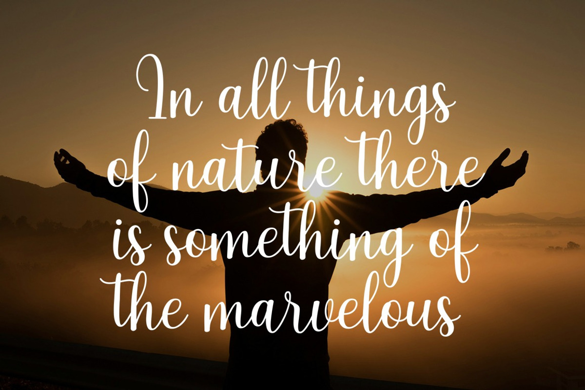 Kally Diery – Lovely Script, a Script Font by MjStudio31 (Photo 7 of 8)