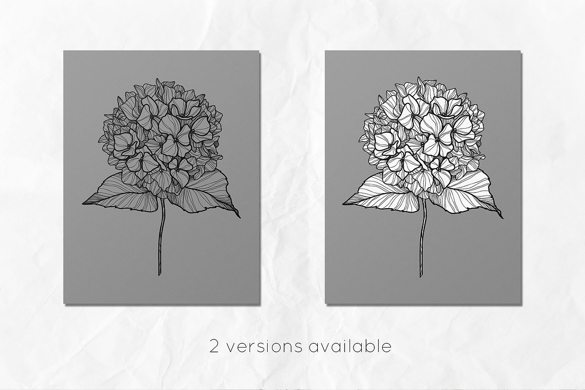 Hydrangea Flowers Line Art SVG, a Decorative Illustration by Dervik Art Store (Photo 5 of 6)