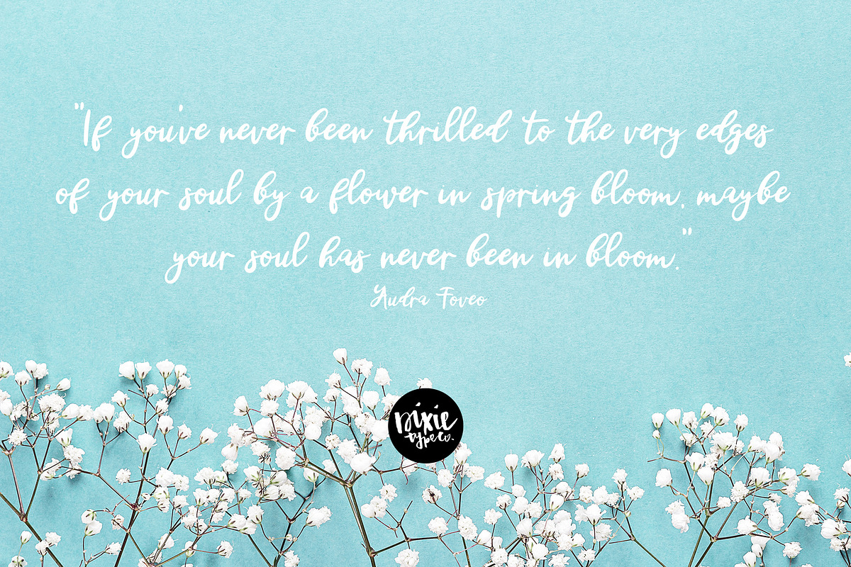 GRAYSON JAMES a Bold Script Font, a Script Font by Blush Font Co. (Photo 2 of 6)