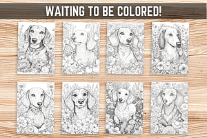 Dachshund Dog Coloring Book