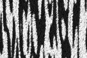 Animal fur textures 2, a Texture Graphic by dotstudio (Thumbnail 14 of 14)