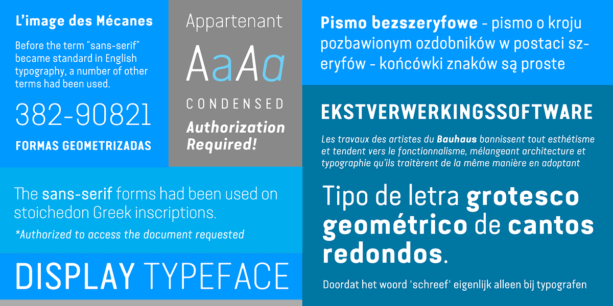 Van Condensed, a Sans Serif Font by Vanarchiv (Photo 4 of 4)