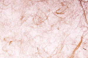 Handmade Paper Texture, a Background Photo by THP Creative