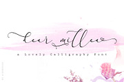 Everything Calligraphy, a Script Font by Aldedesign (Thumbnail 12 of 12)