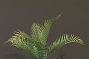 A small palm bush, a Plants & Tree 3D Model by FuturePastCreatives (Thumbnail 2 of 5)