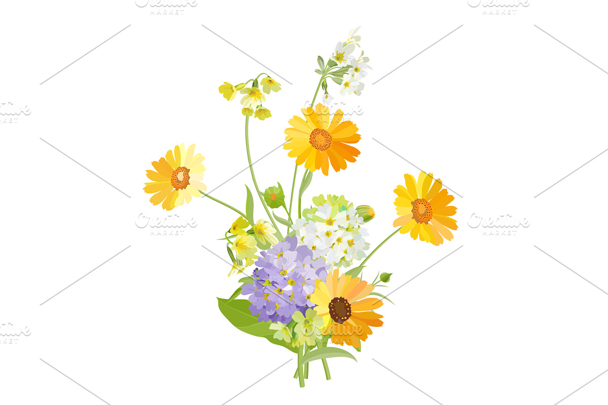 Vector object brushes. Primula., a Brush Add-On by Peolla (Photo 16 of 17)