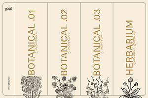 The Botanical Collection