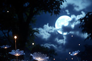 ETARA Magical Scene Builder Kit, an Object Graphic by ETARA by Mea Hau (Thumbnail 9 of 25)