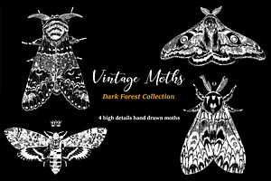 Vintage Moths Dark Forest Collection