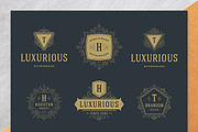 36 Luxury Ornament Logos, a Branding & Logo Template by Vasya Kobelev (Thumbnail 2 of 14)