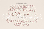 Debora Celina, a Script Font by Gatype (Thumbnail 6 of 8)